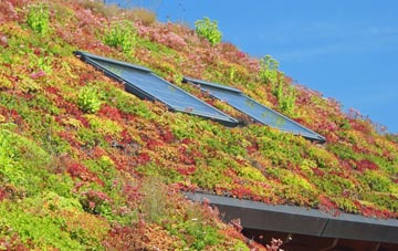 Far Laund living roof systems